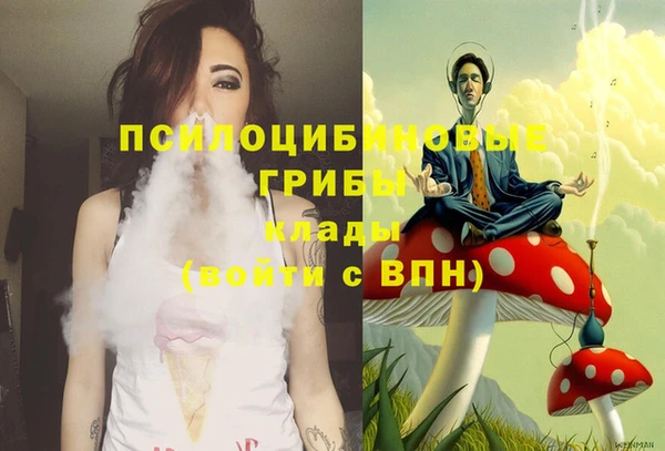ПСИЛОЦИБИНОВЫЕ ГРИБЫ Алексеевка