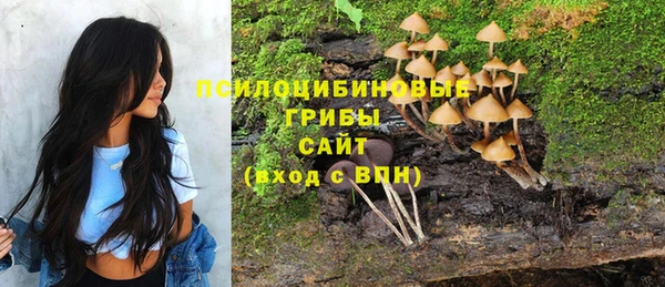 ПСИЛОЦИБИНОВЫЕ ГРИБЫ Алексеевка