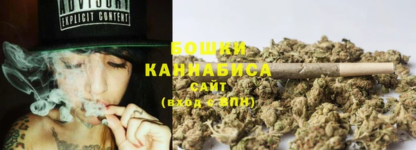 ПСИЛОЦИБИНОВЫЕ ГРИБЫ Алексеевка