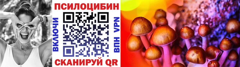 Псилоцибиновые грибы Psilocybine cubensis  наркошоп  Котельники 