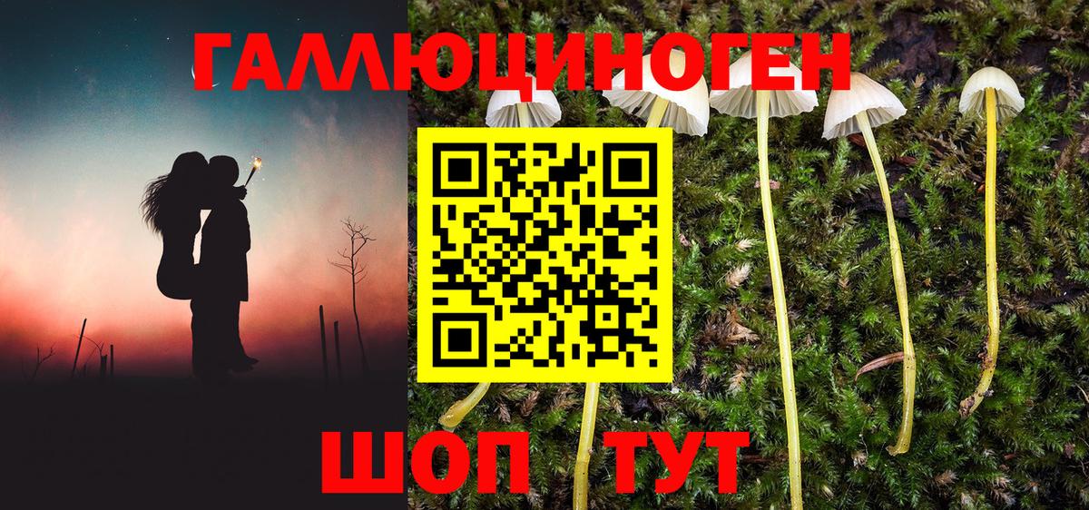 Псилоцибиновые грибы Cubensis Котельники