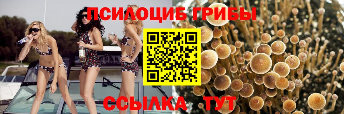 Котельники  Псилоцибиновые грибы Cubensis  Галлюциногенные грибы мухоморы  Вход с VPN 